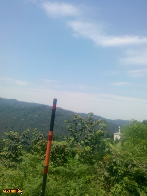 IMG_20150727_122705.jpg