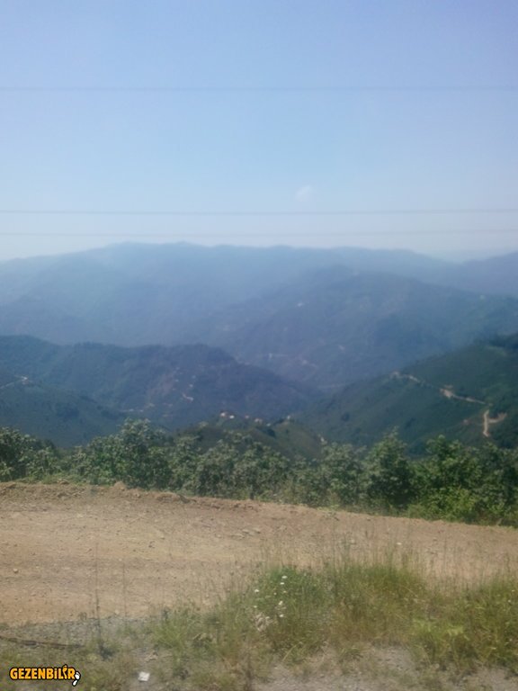 IMG_20150727_130255.jpg
