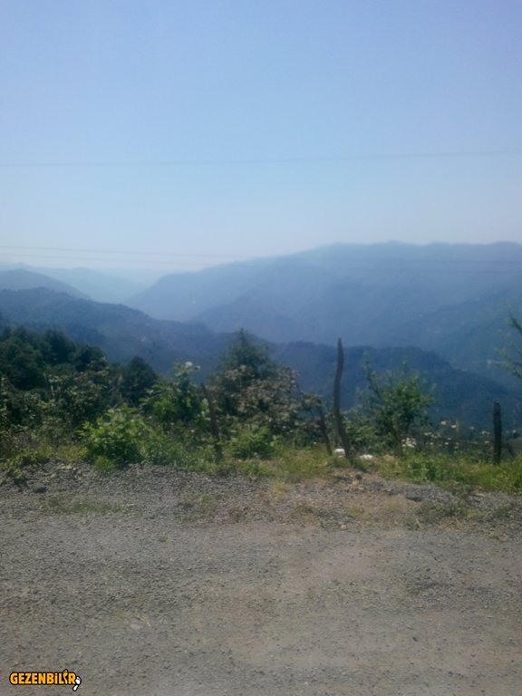 IMG_20150727_130259.jpg