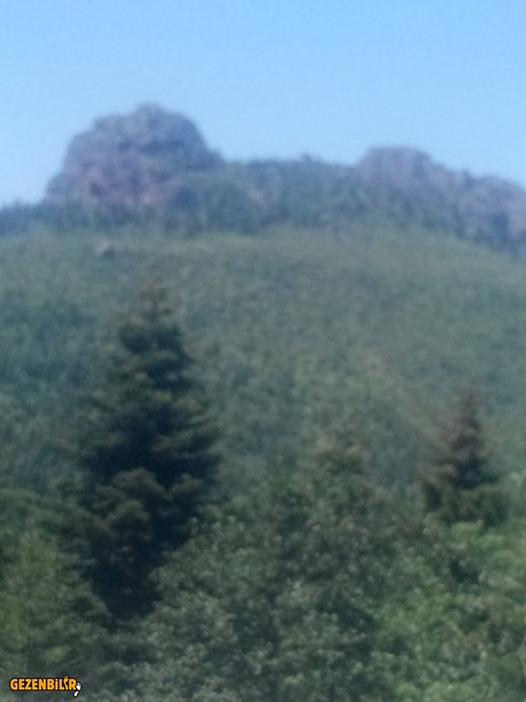IMG_20150727_133310.jpg