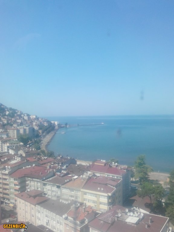 IMG_20150728_145710.jpg