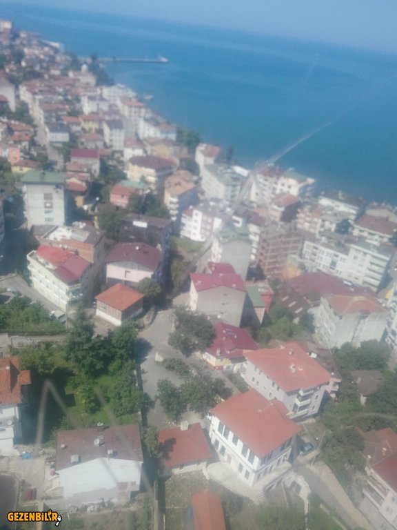 IMG_20150728_145858.jpg