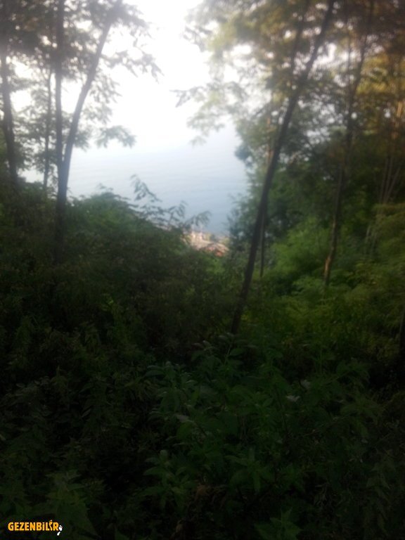 IMG_20150728_183032.jpg