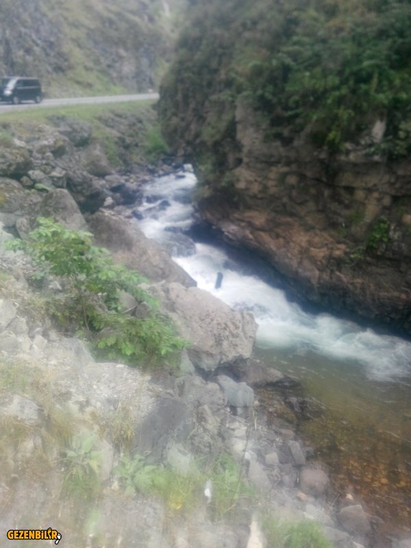 IMG_20150729_163531.jpg