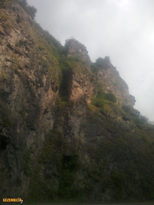 IMG_20150729_163540.jpg