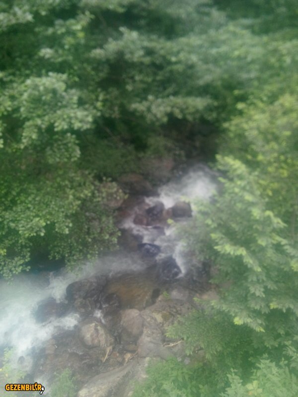 IMG_20150729_165905.jpg