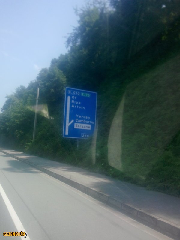 IMG_20150730_133110.jpg