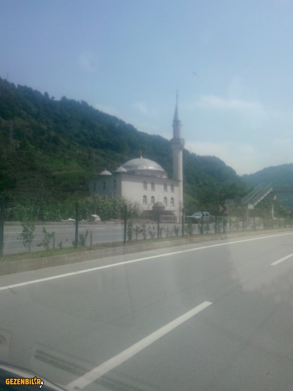 IMG_20150730_135239.jpg