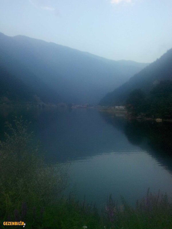 IMG_20150730_191619.jpg