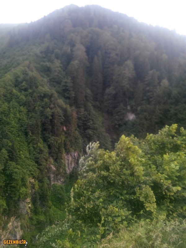 IMG_20150731_183141.jpg