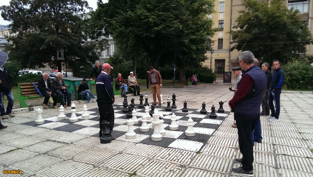 IMG_20150910_114818.jpg