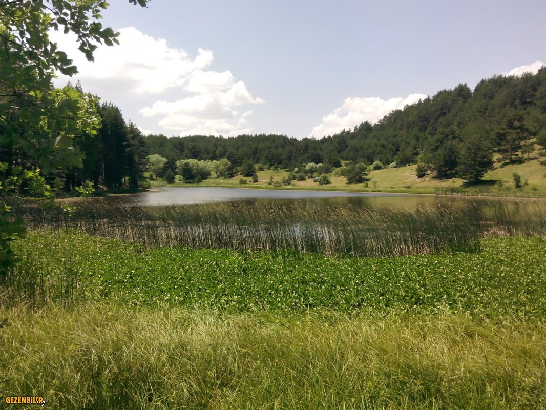 IMG_20160626_125000.jpg