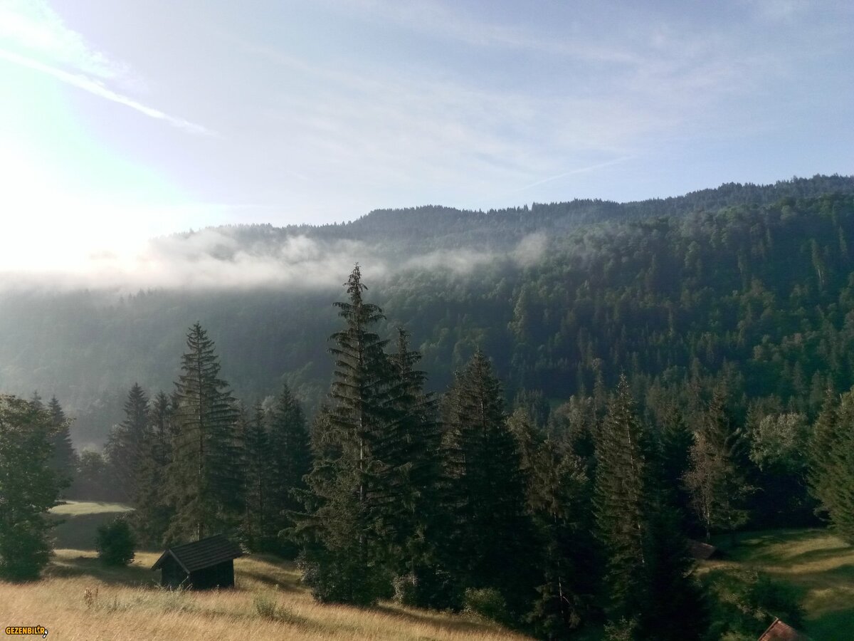 IMG_20180803_081141.jpg