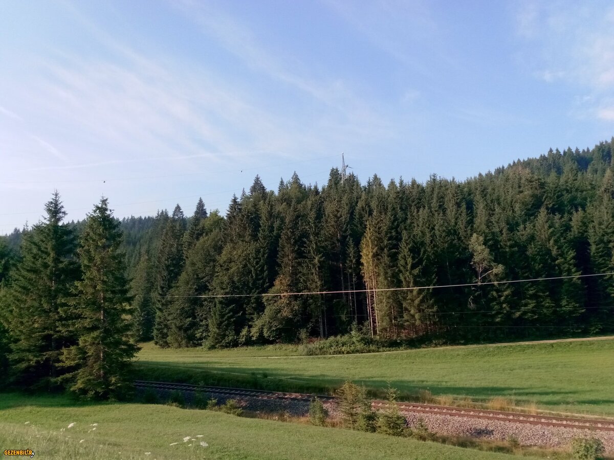 IMG_20180803_081727.jpg