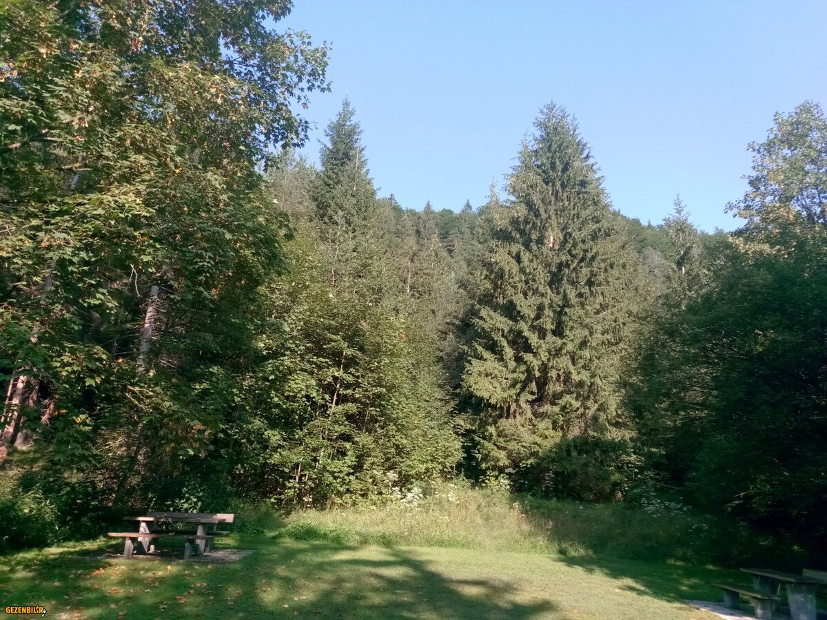 IMG_20180803_091910.jpg