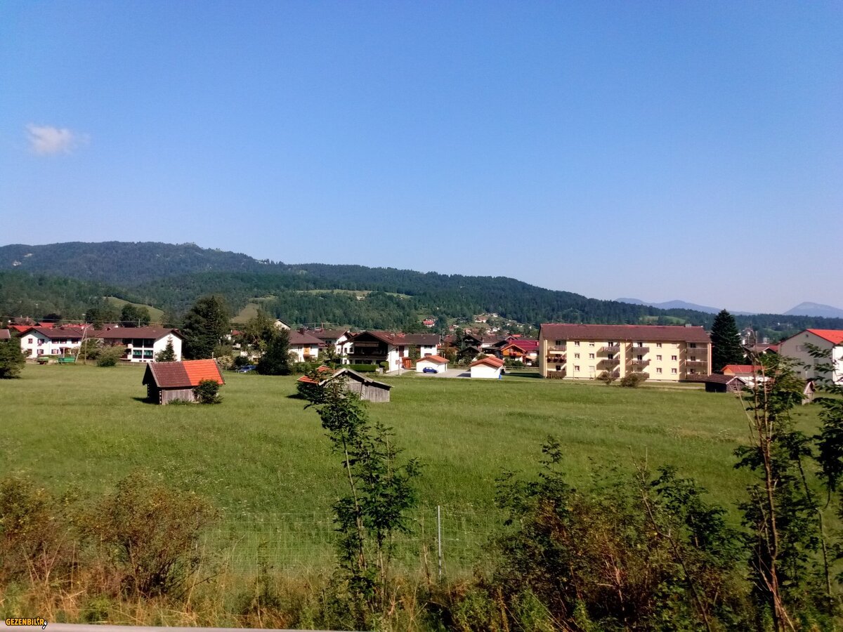 IMG_20180803_094052.jpg