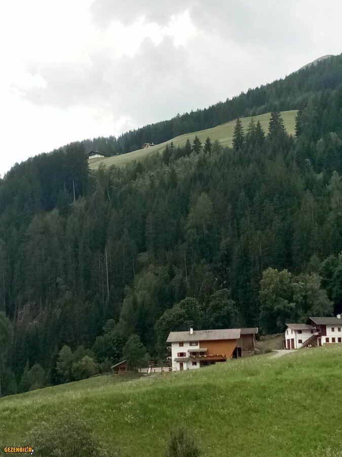 IMG_20180803_155614.jpg