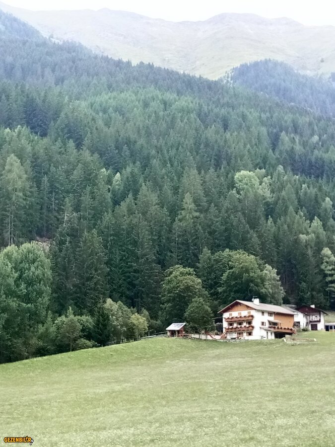 IMG_20180803_155637.jpg