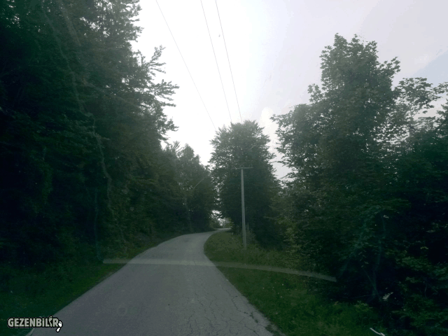 IMG_20180809_182234.gif