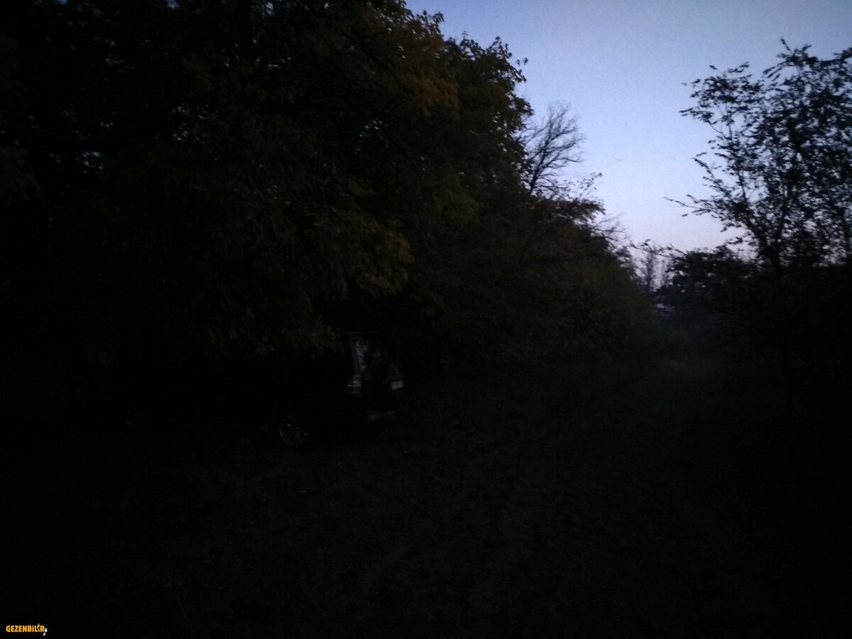 IMG_20181020_064015_HDR.jpg