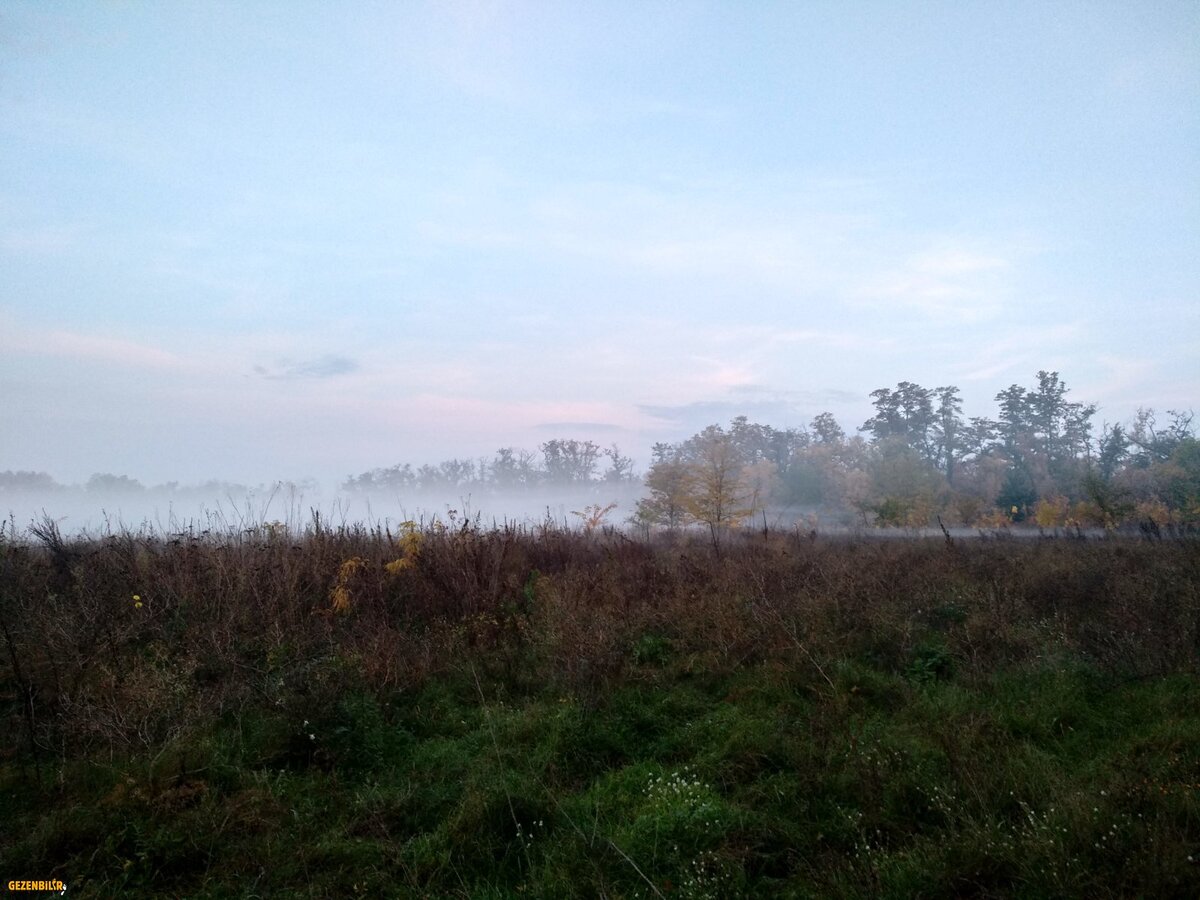 IMG_20181020_070523_HDR.jpg