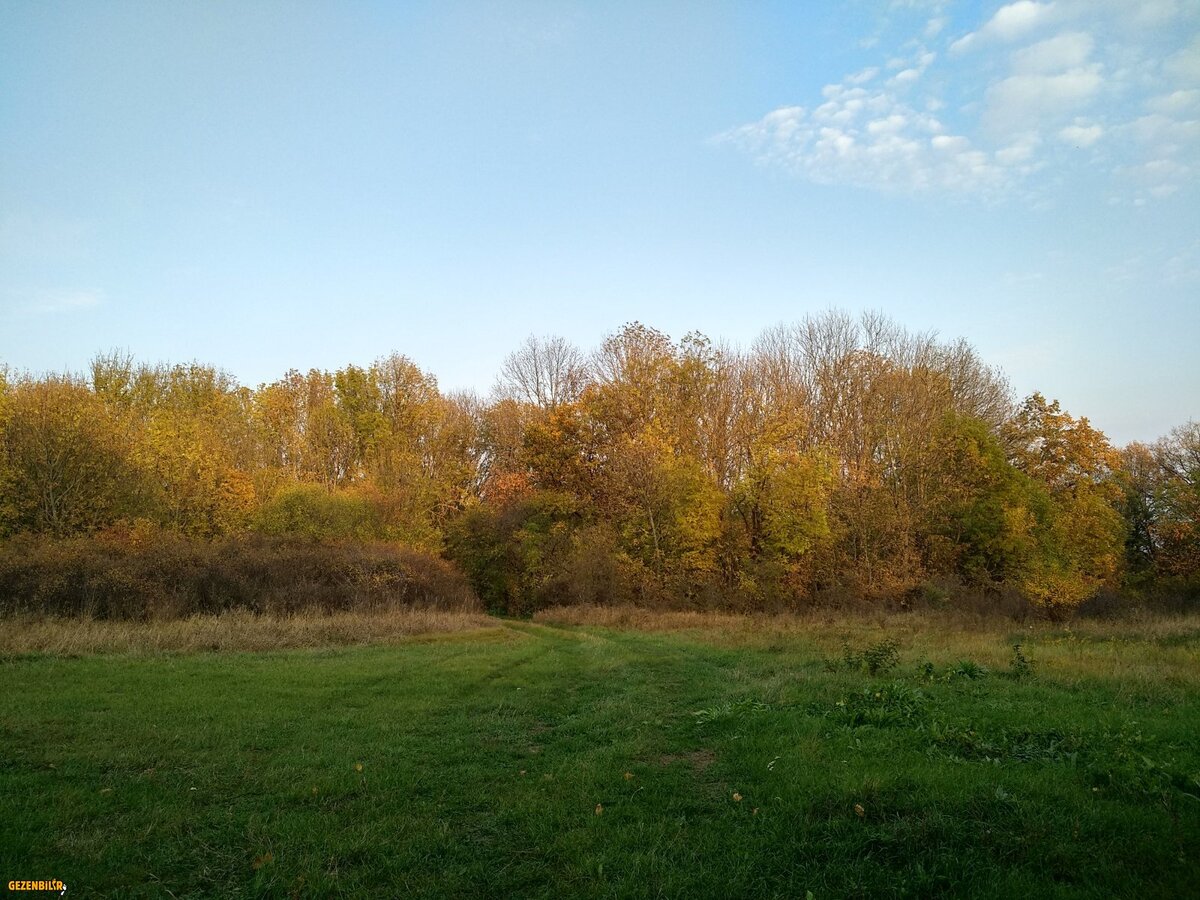 IMG_20181020_170536_HDR.jpg