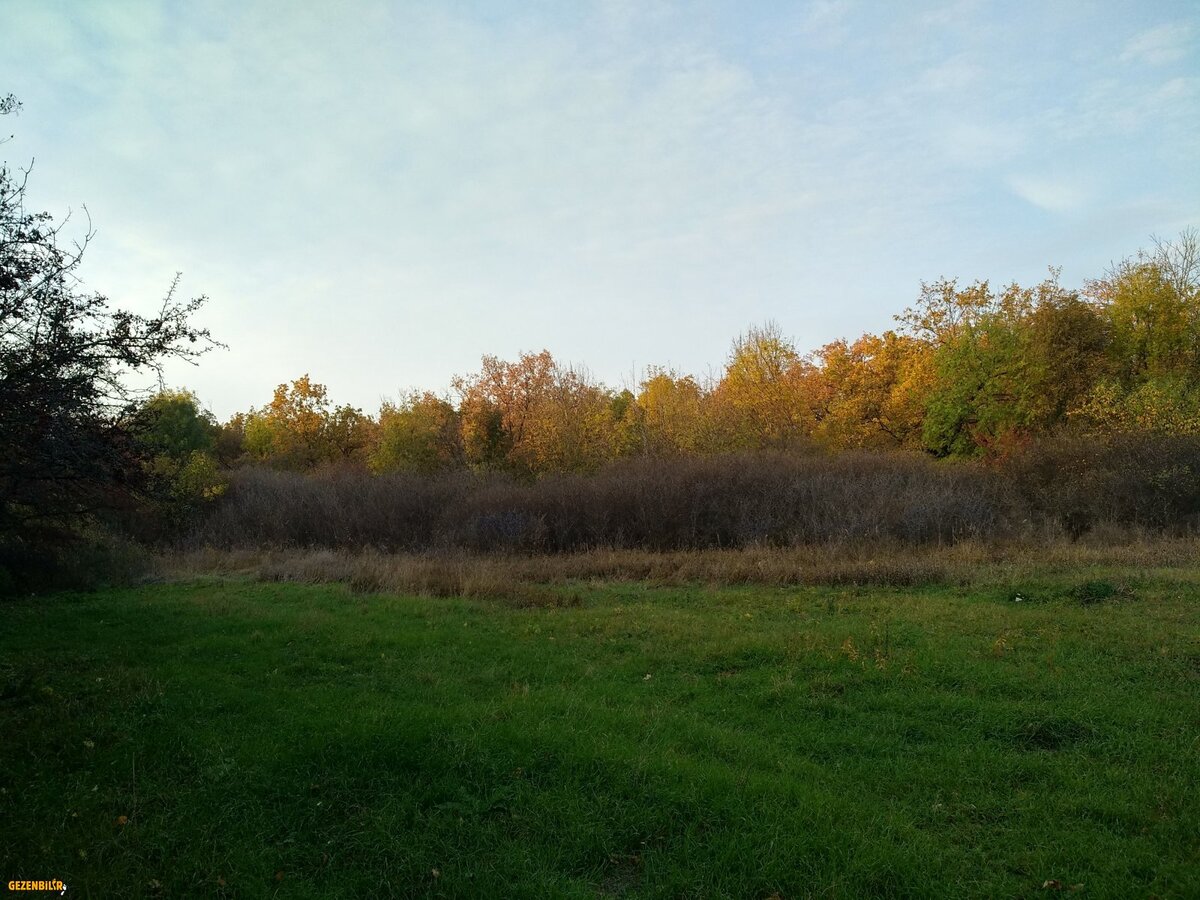 IMG_20181020_170541_HDR.jpg