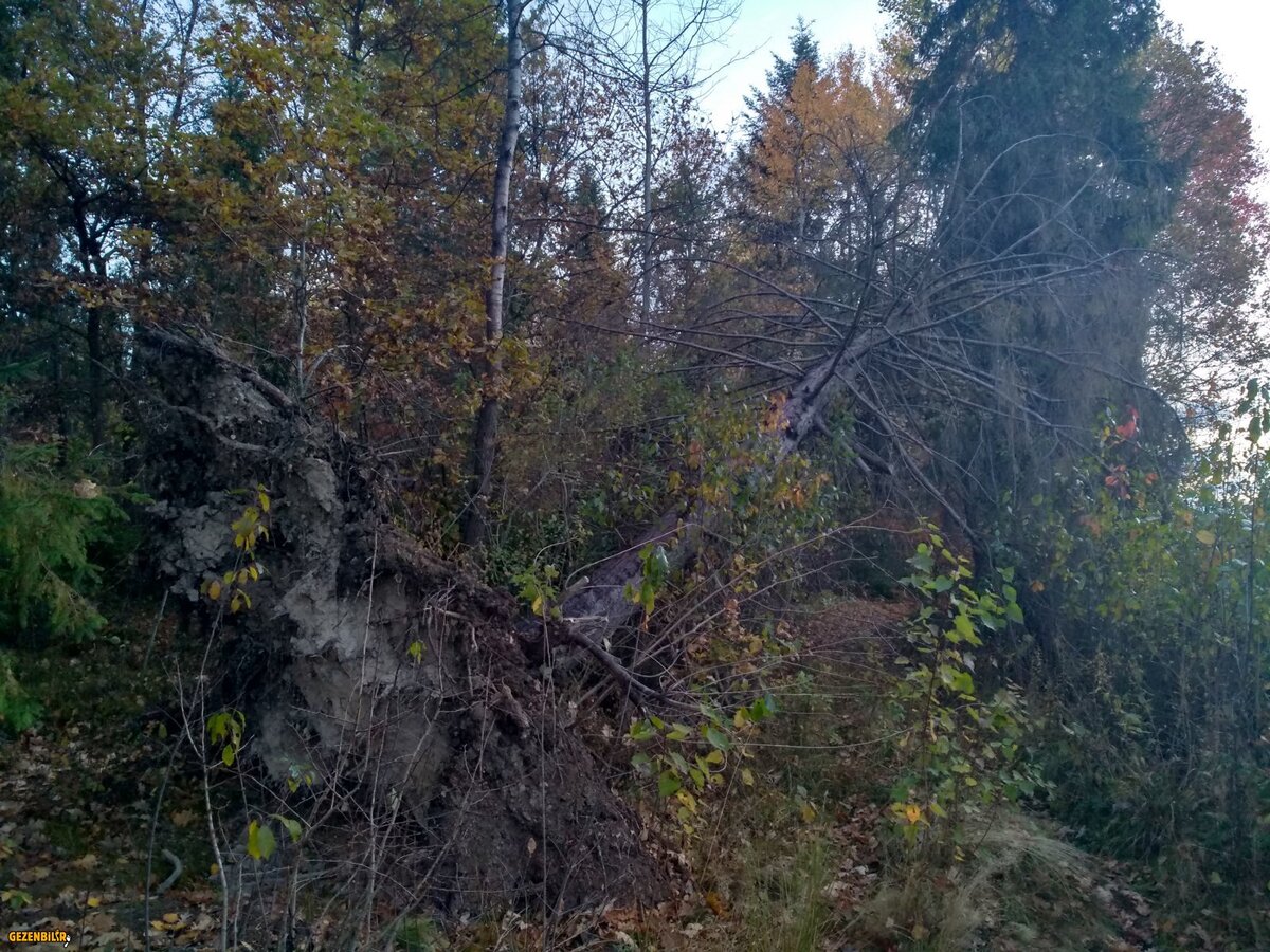 IMG_20181024_075214_HDR.jpg