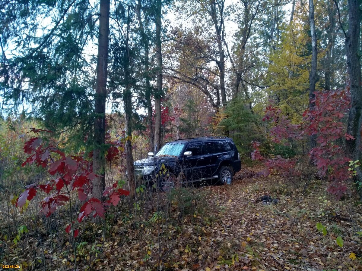 IMG_20181024_075531_HDR.jpg