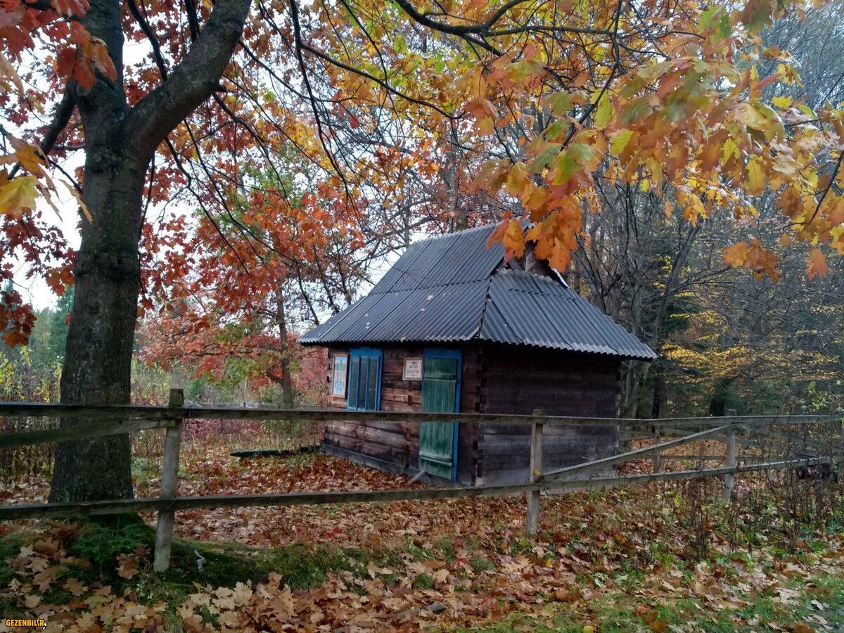 IMG_20181024_092248_HDR.jpg