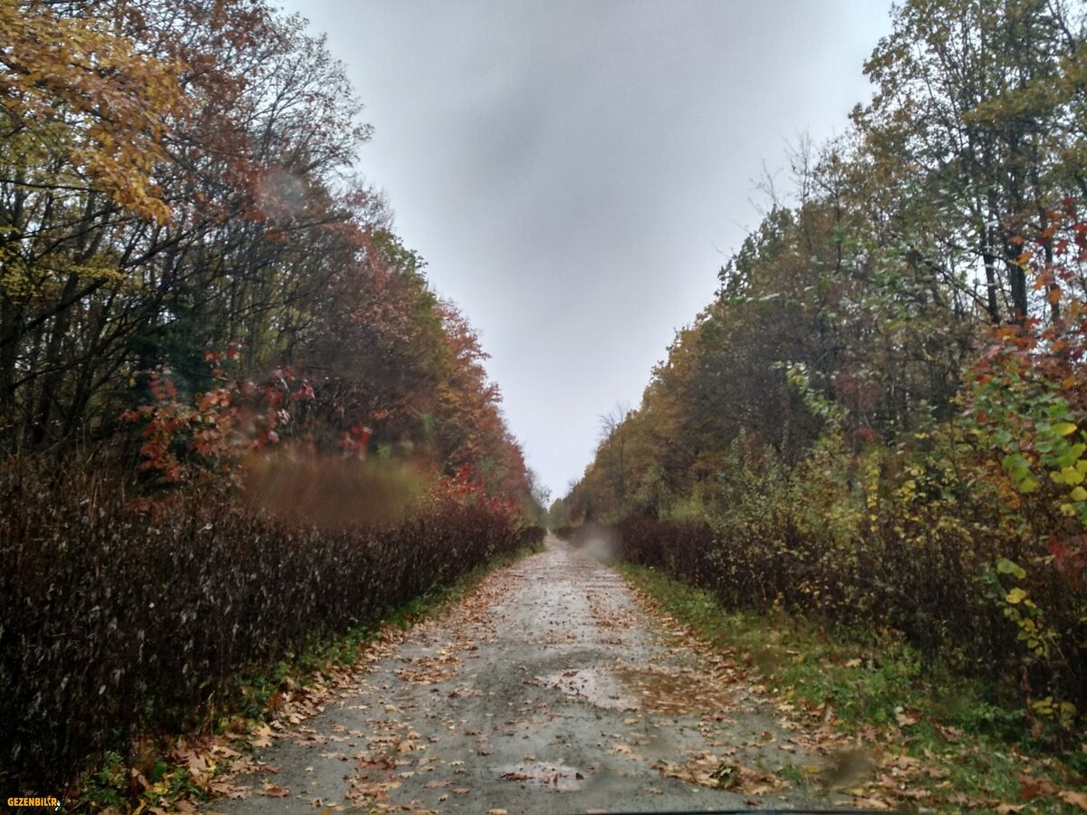 IMG_20181024_092338_HDR.jpg