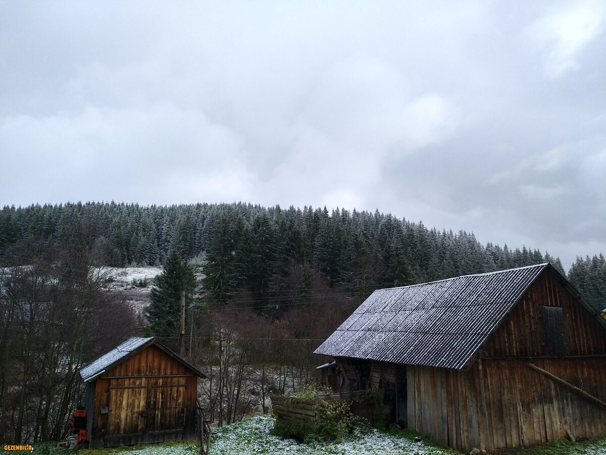 IMG_20181024_145304_HDR.jpg