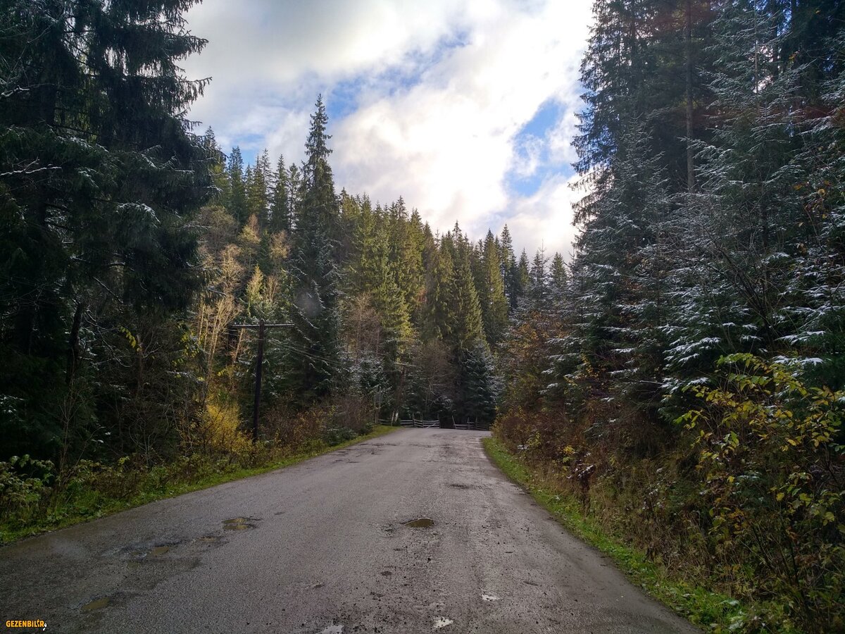 IMG_20181025_093304_HDR.jpg