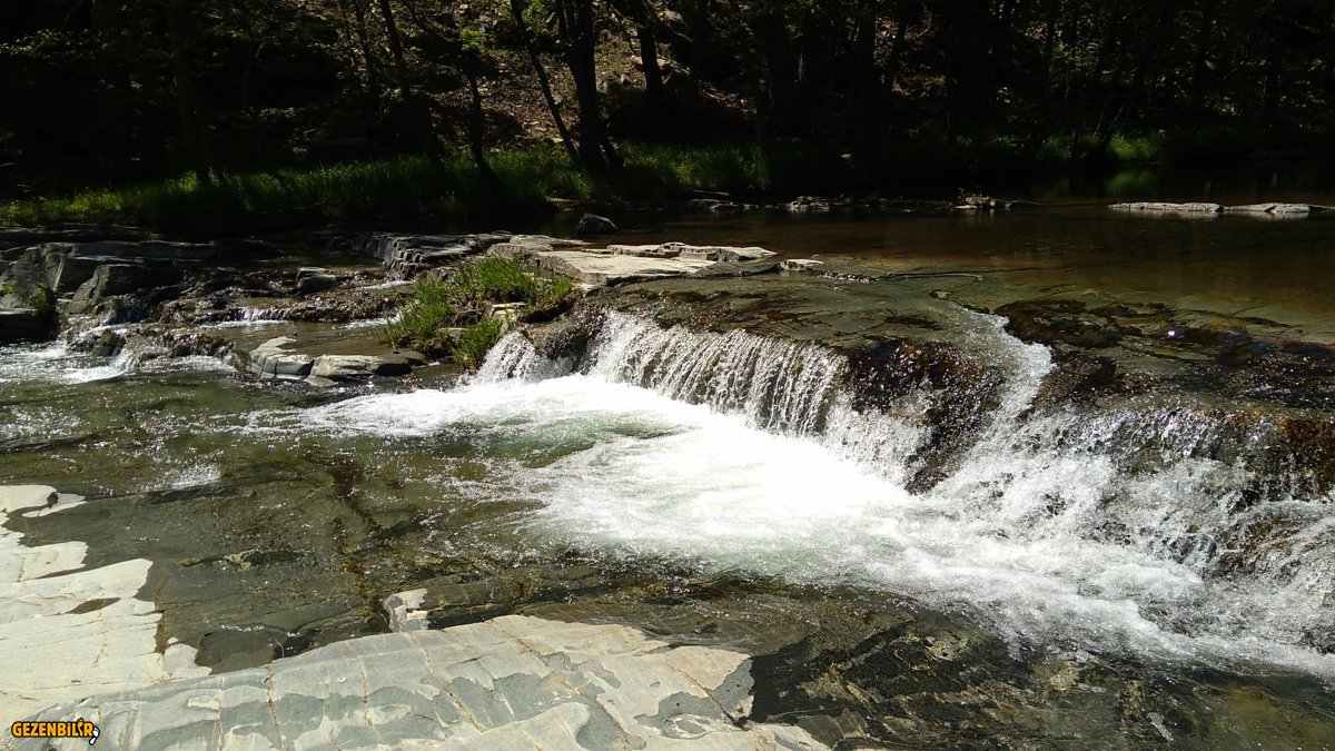 IMG_20190516_143450.jpg