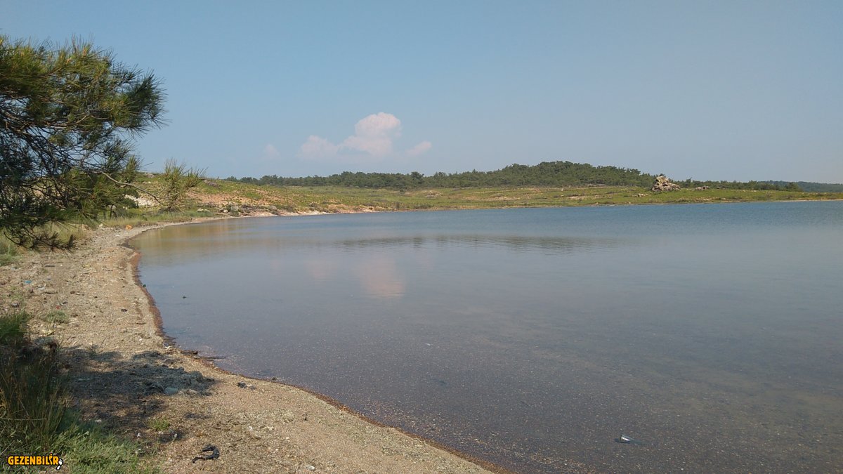 IMG_20190518_160733.jpg
