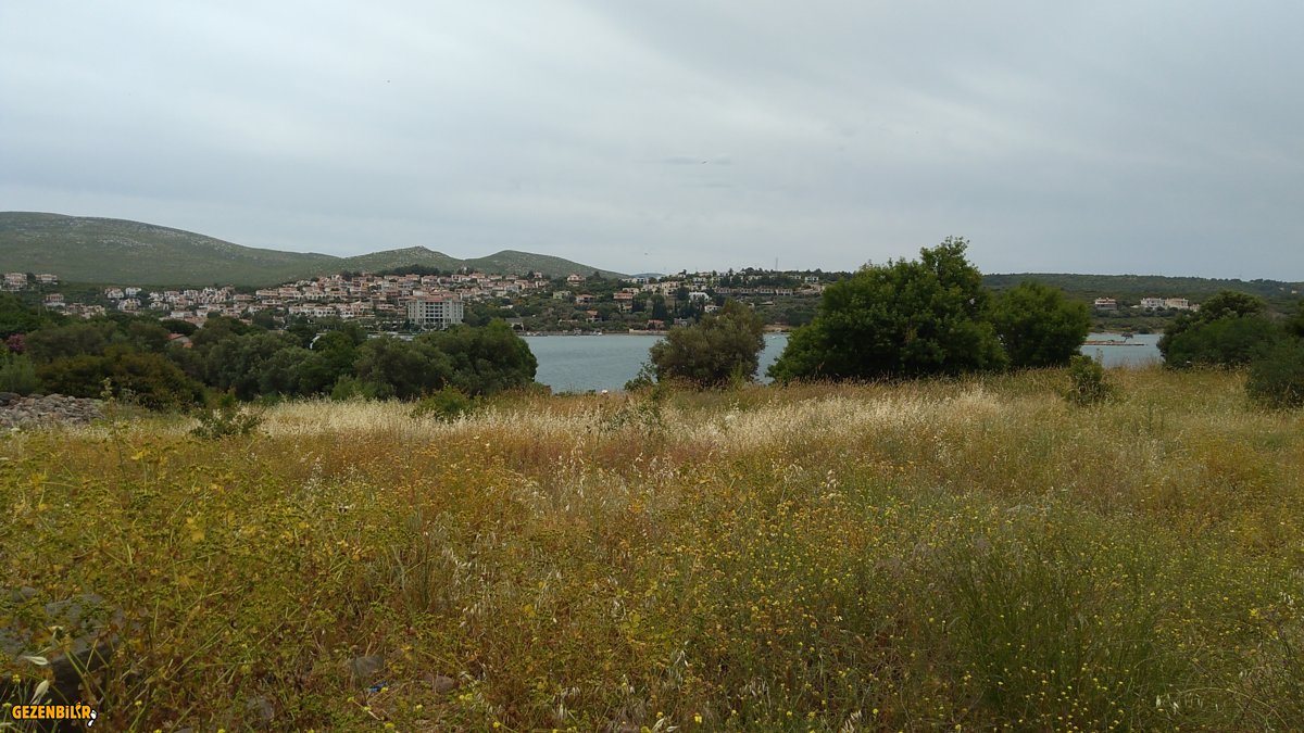 IMG_20190521_125944.jpg