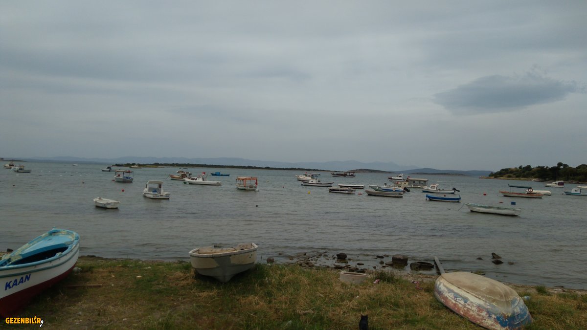 IMG_20190521_133346.jpg