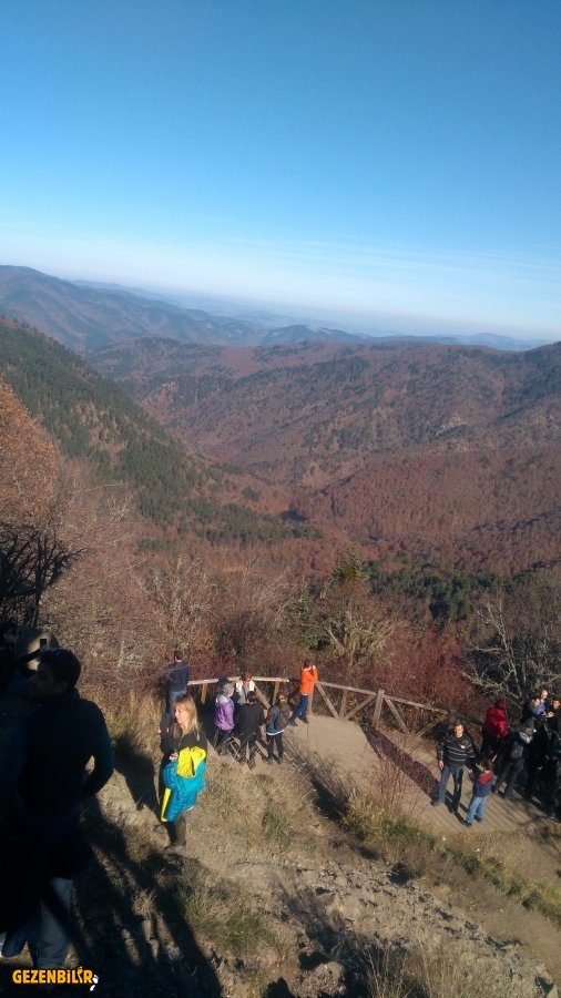 IMG_20191120_122138.jpg