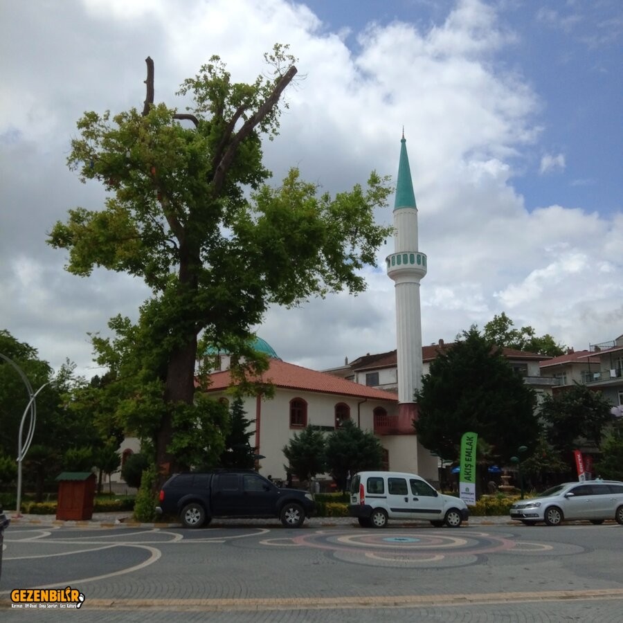 IMG_20210708_122140_388.jpg