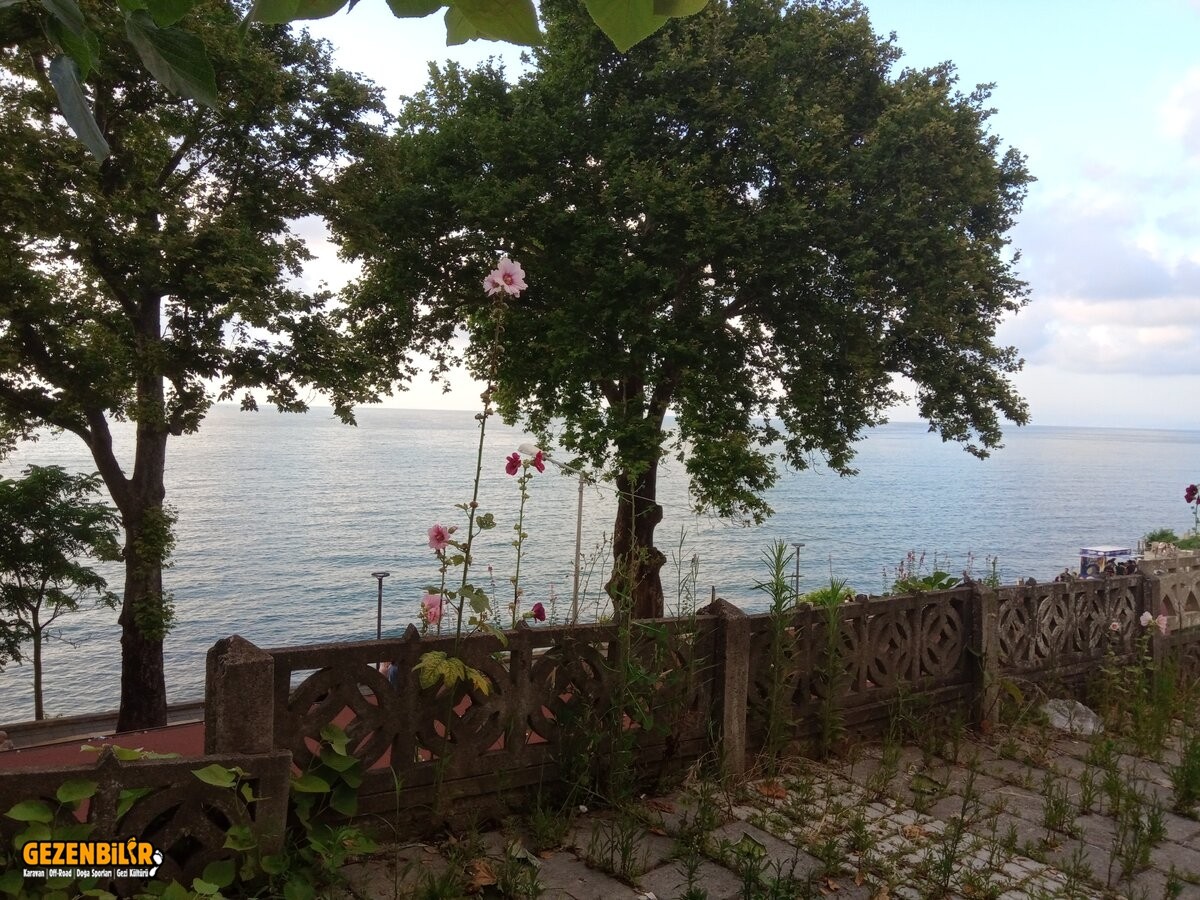 IMG_20210710_193454.jpg