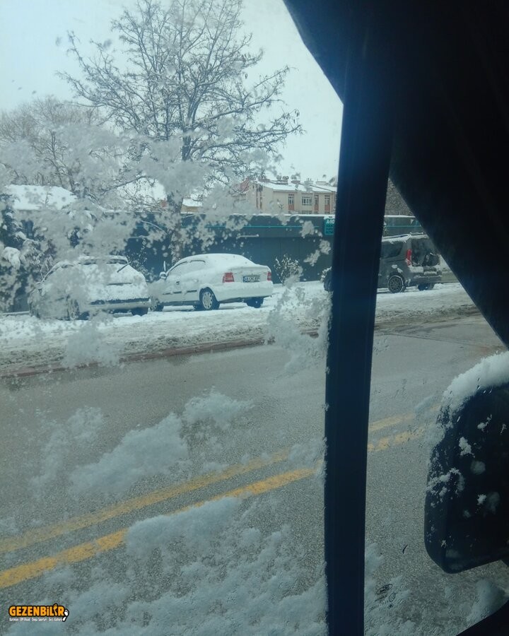 IMG_20220123_113624_115.jpg