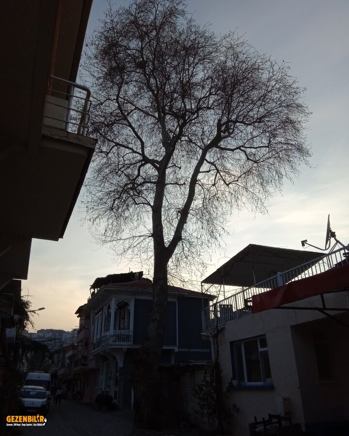 IMG_20220129_174526_018.jpg