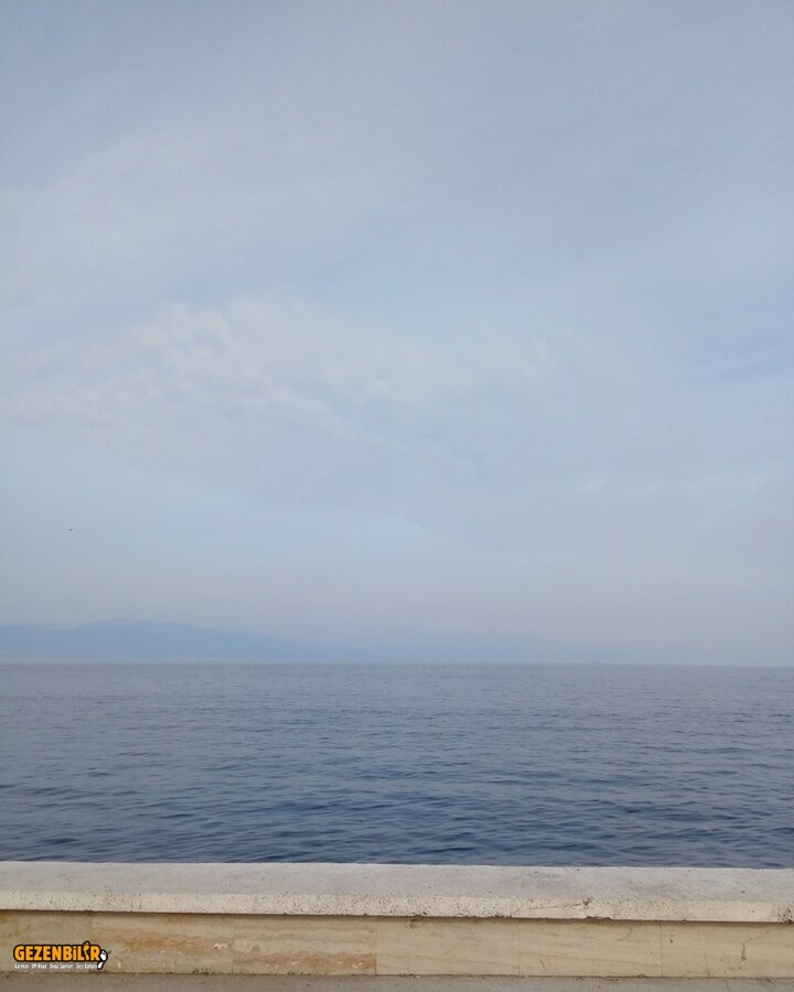 IMG_20220130_145156_227.jpg
