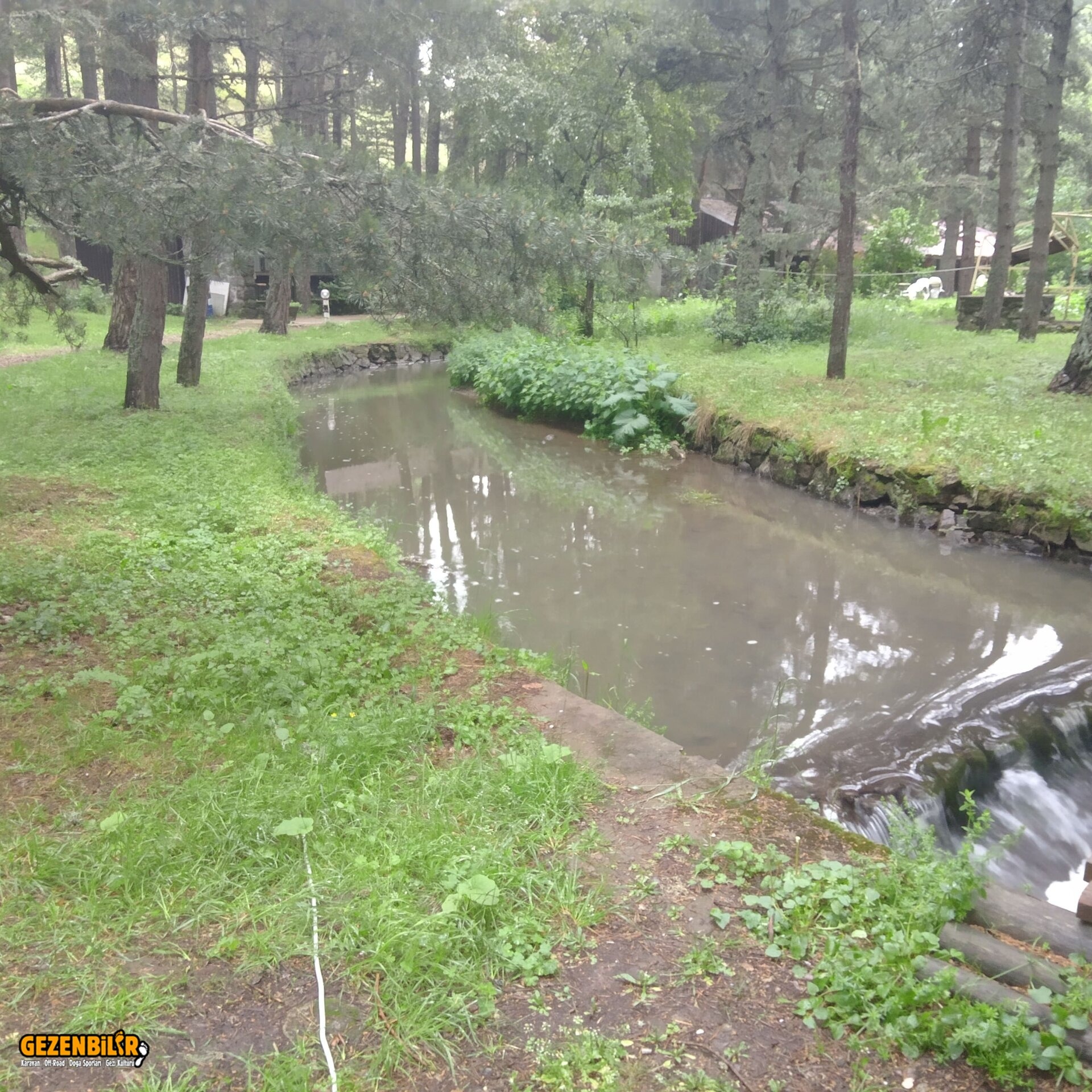 IMG_20220625_100703_389.jpg