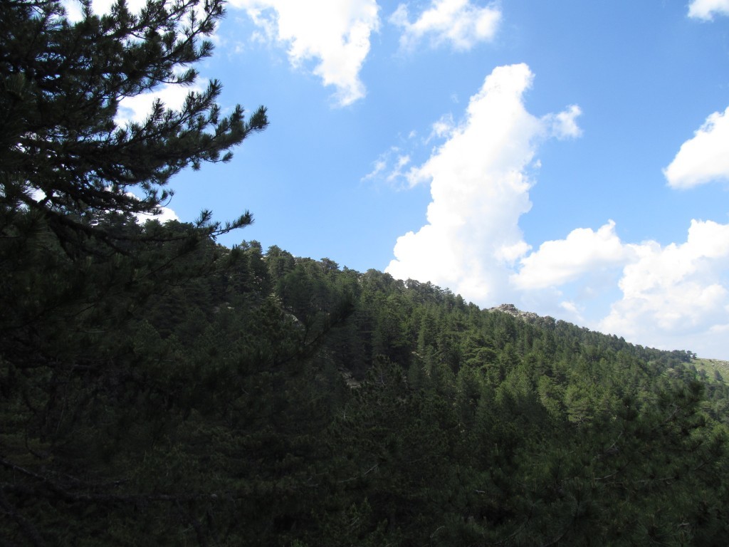 IMG_2033.JPG