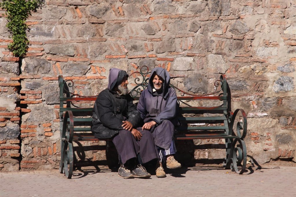 IMG_2042 (Large).JPG