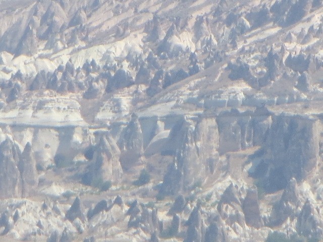 IMG_2101.JPG