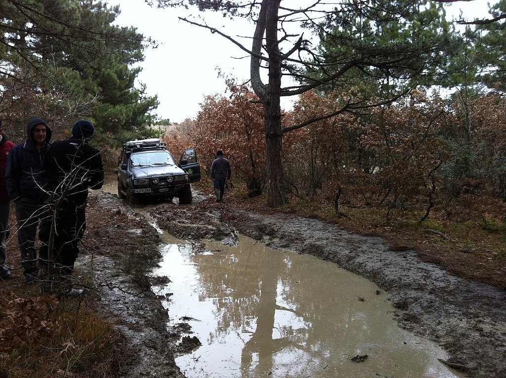 IMG_2140.jpg