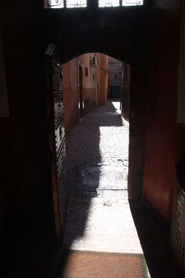 IMG_2331 (Large).JPG