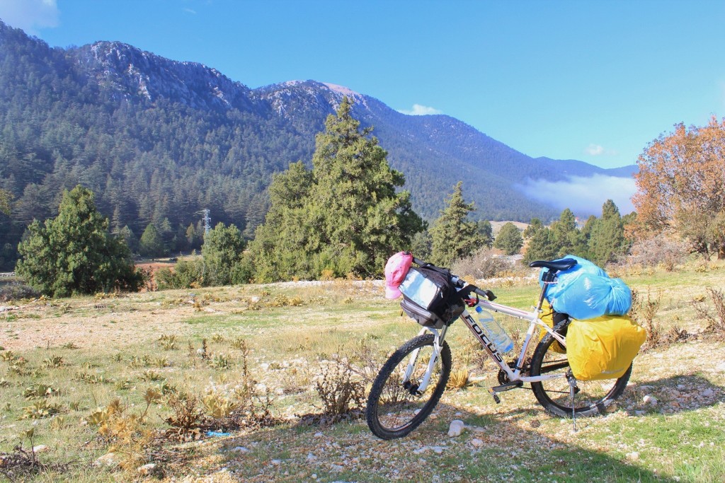 IMG_2410 (1024x683).jpg